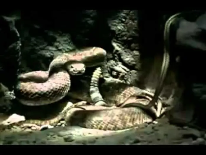 Video for the film Venomous — Venomous 2001 movie trailer