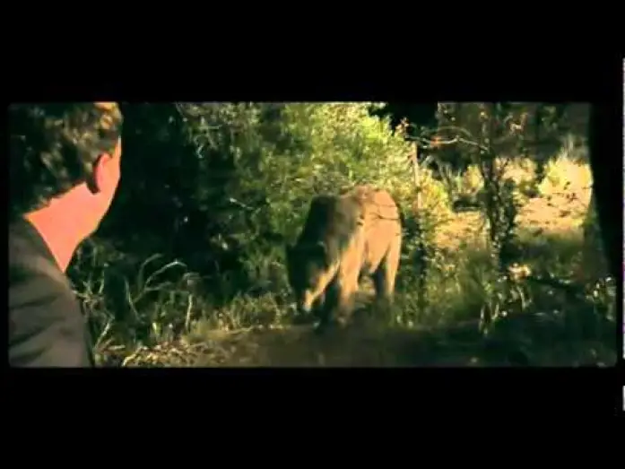 Video for the film Bear — Bear - Trailer (OmU)