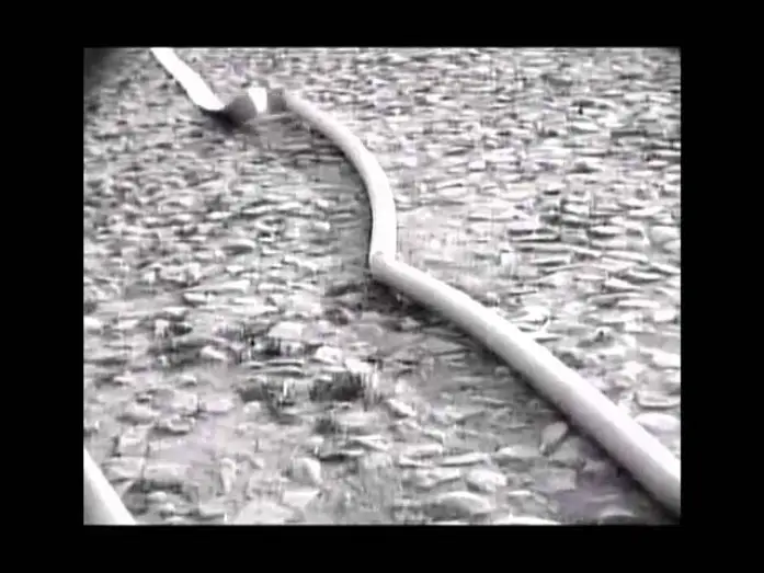 Video for the film Strike — Strike   Stachka   Sergei Eisenstein   1925 - Trailer