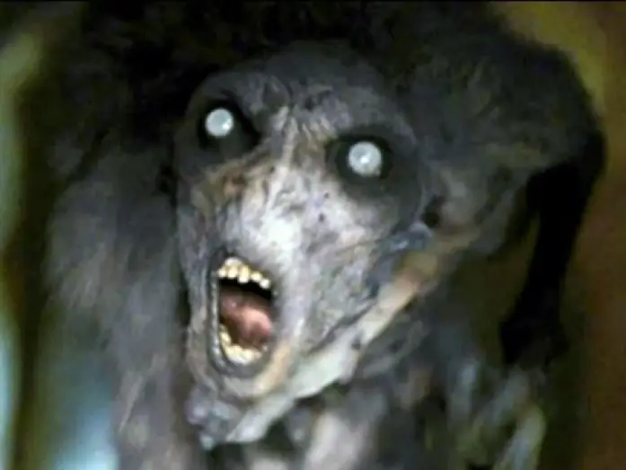 Video for the film Don't Be Afraid of the Dark — DON'T BE AFRAID OF THE DARK | Trailer deutsch german [HD]