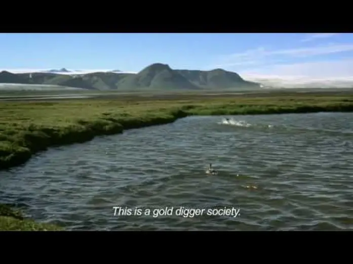 Video for the film Dreamland — Dreamland trailer with subtitles