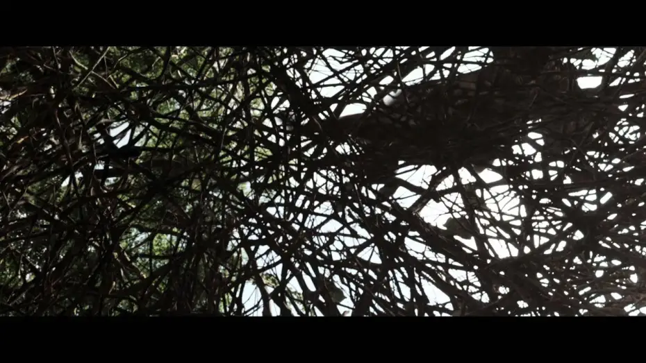Video for the film After Earth — Bird Fight VF