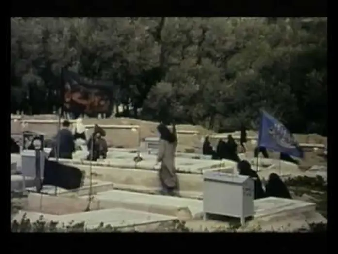 Video for the film Through the Olive Trees — Through the Olive Trees - Trailer