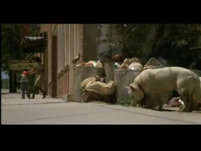 Video for the film White Dog — White Dog (1982) Theatrical Trailer