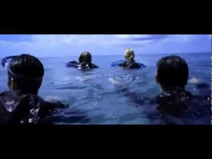 Video for the film The Reef — The Reef - German _ Deutscher Trailer.mp4