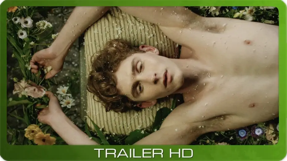 Video for the film Lilies Not for Me — Lilies Not for Me ≣ 2024 ≣ Trailer ≣ German | Deutsch ≣ OmU