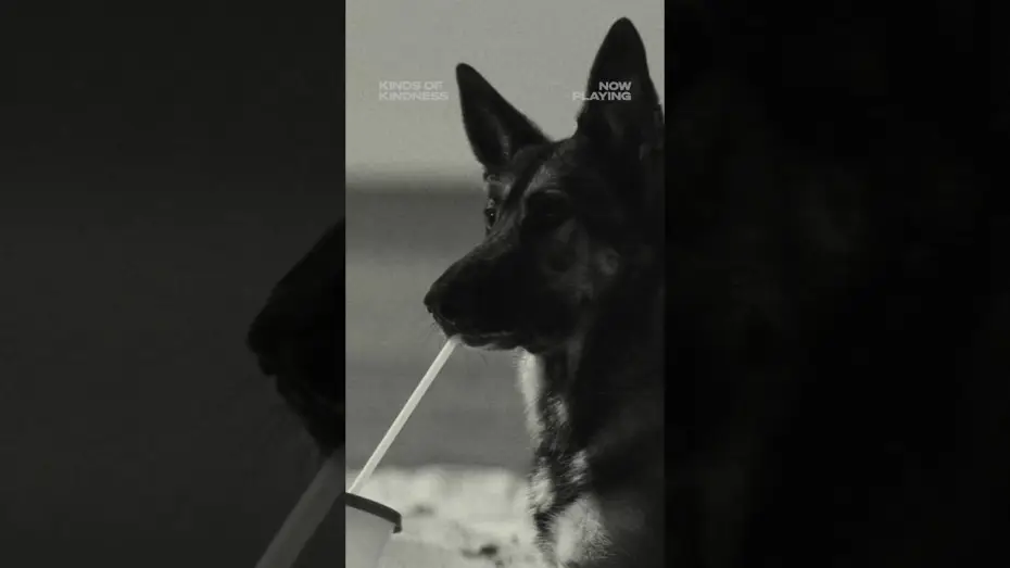 Video for the film Kinds of Kindness — Wonderful
