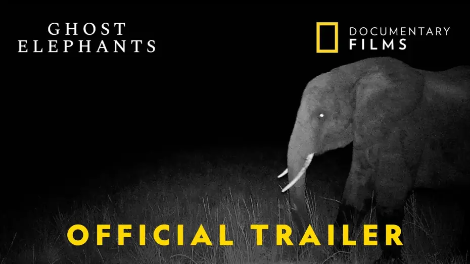 Video for the film Ghost Elephants — Official Trailer