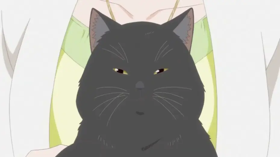 Video for the film She and Her Cat: Everything Flows — She and Her Cat (Trailer)