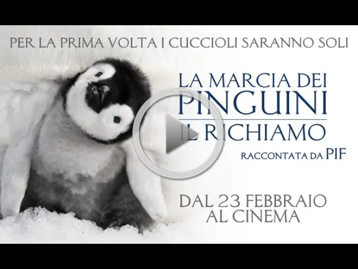 Video for the film March of the Penguins 2: The Next Step — LA MARCIA DEI PINGUINI IL RICHIAMO - Dal 23 febbraio al cinema