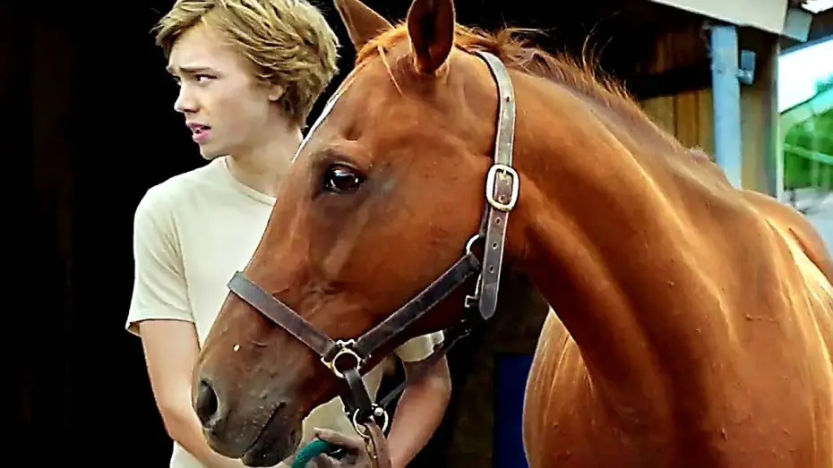 Video for the film Lean on Pete — LA ROUTE SAUVAGE Bande Annonce (2018)