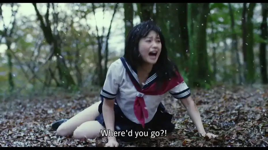 Video for the film Antiporno — Antiporno (Anchiporuno) international theatrical trailer - Sion Sono-directed movie