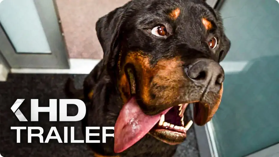 Video for the film Show Dogs — SHOW DOGS Trailer German Deutsch (2018)
