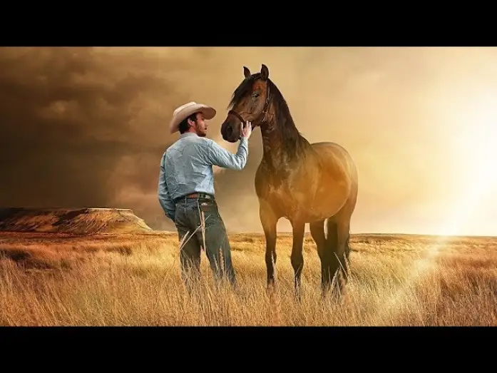 Video for the film The Rider — The Rider | Offizieller Trailer Deutsch German HD