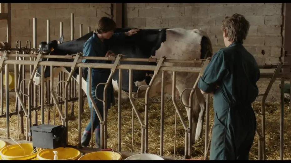 Video for the film Bloody Milk — Petit Paysan - Bande Annonce VF
