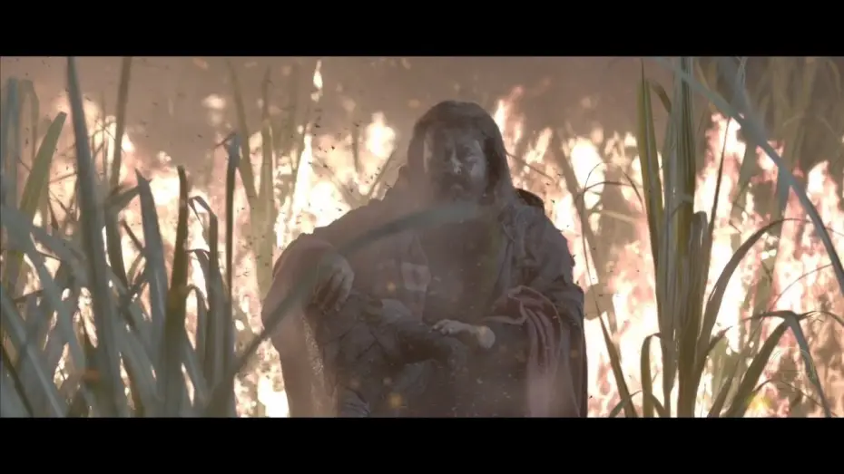 Video for the film Odiyan — ODIYAN VFX BREAKDOWN