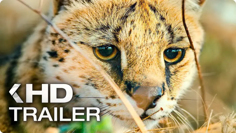 Video for the film Earth: One Amazing Day — UNSERE ERDE 2 Trailer German Deutsch (2018)