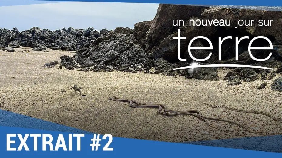 Video for the film Earth: One Amazing Day — UN NOUVEAU JOUR SUR TERRE - Extrait "Iguanes" VF