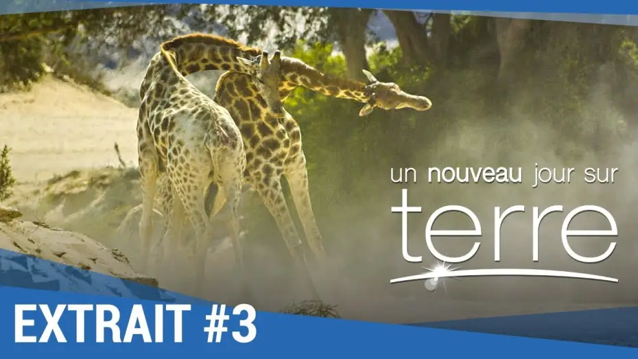 Video for the film Earth: One Amazing Day — UN NOUVEAU JOUR SUR TERRE - Extrait "Girafes" VF