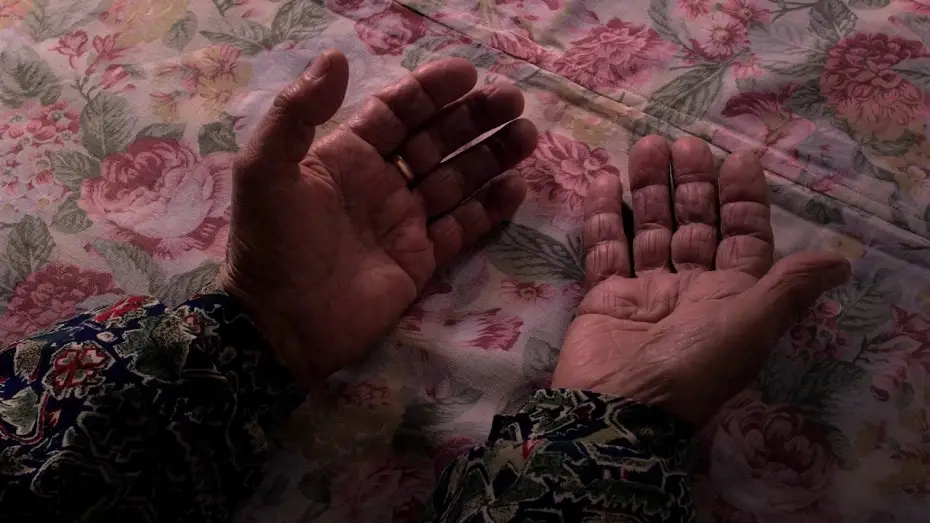 Video for the film Barbs, Wastelands — FARPÕES BALDIOS de Marta Mateus (2017) - teaser