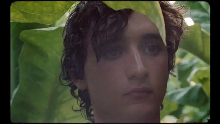 Video for the film Happy as Lazzaro — HEUREUX COMME LAZZARO - Bande Annonce VOST