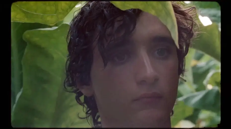 Video for the film Happy as Lazzaro — Excerpt 2