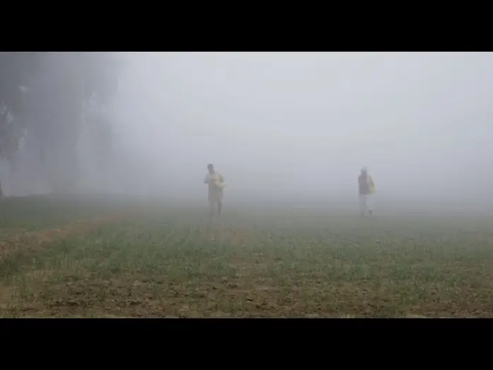 Video for the film The Dispossessed — Os Despossuídos | 8ª Mostra Ecofalante