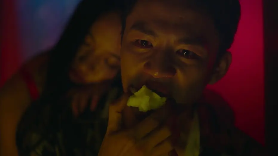 Video for the film Long Day's Journey Into Night — Official Trailer