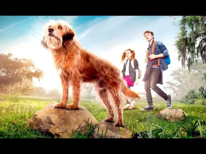 Video for the film Benji — BENJI (Trailer epsañol)