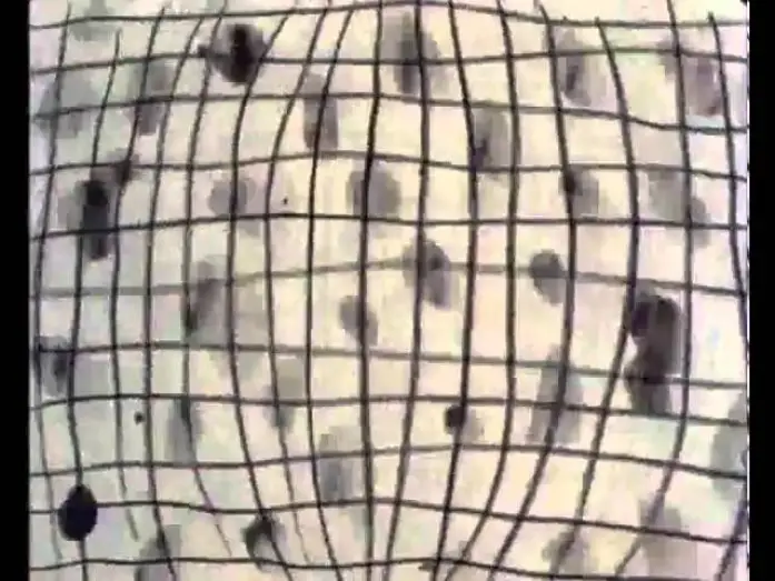Video for the film Nightclub — Night Club (1983) - Jonathan Hodgson