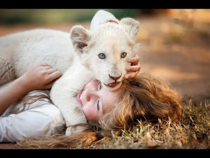 Video for the film Mia and the White Lion — Mia y el león blanco - Trailer español (HD)