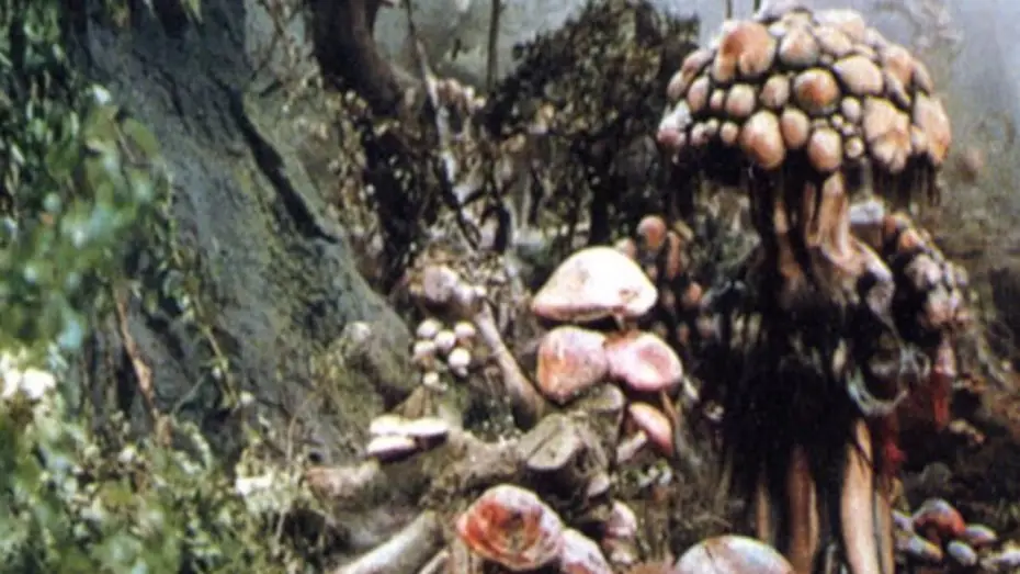 Video for the film Matango — Attack of the Mushroom People Official Trailer