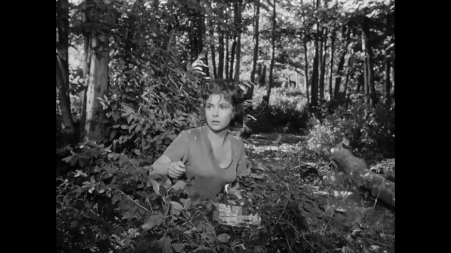 Video for the film Bread, Love and Dreams — PANE, AMORE E FANTASIA: dal 18 luglio al 24 luglio al cinema