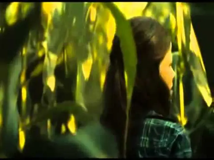 Video for the film Husk — Husk (2011)