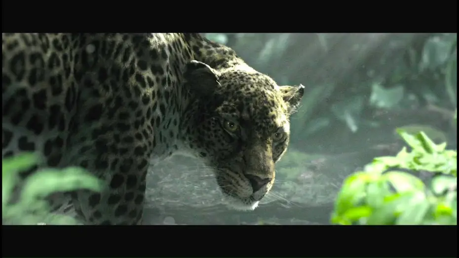 Video for the film The Legend of Tarzan — The Legend of Tarzan - Rivela la tua natura - Featurette dal film | HD