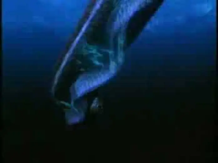 Video for the film Deep Shock — Deep Shock Movie Trailer