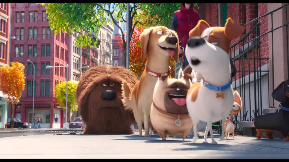 Video for the film The Secret Life of Pets — PETS - VITA DA ANIMALI - Terzo trailer italiano ufficiale