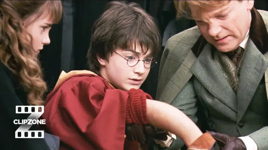 Video for the film Harry Potter and the Chamber of Secrets — Dobby's Rogue Bludger