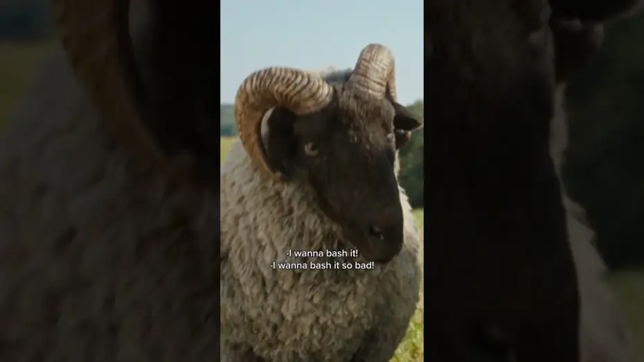 Video for the film The Sheep Detectives — Sheep can do anything...