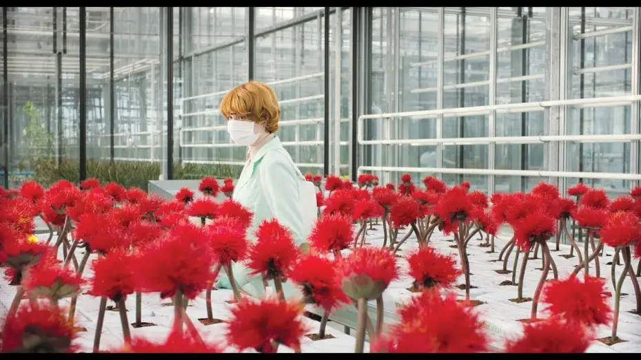 Video for the film Little Joe — Little Joe | Offizieller Trailer | Deutsch HD