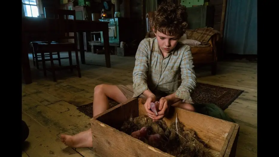 Video for the film Storm Boy — STORM BOY - EXTRAIT : "Prendre des forces" VF