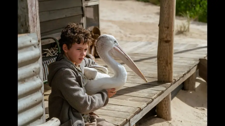 Video for the film Storm Boy — STORM BOY - Bande Annonce VF