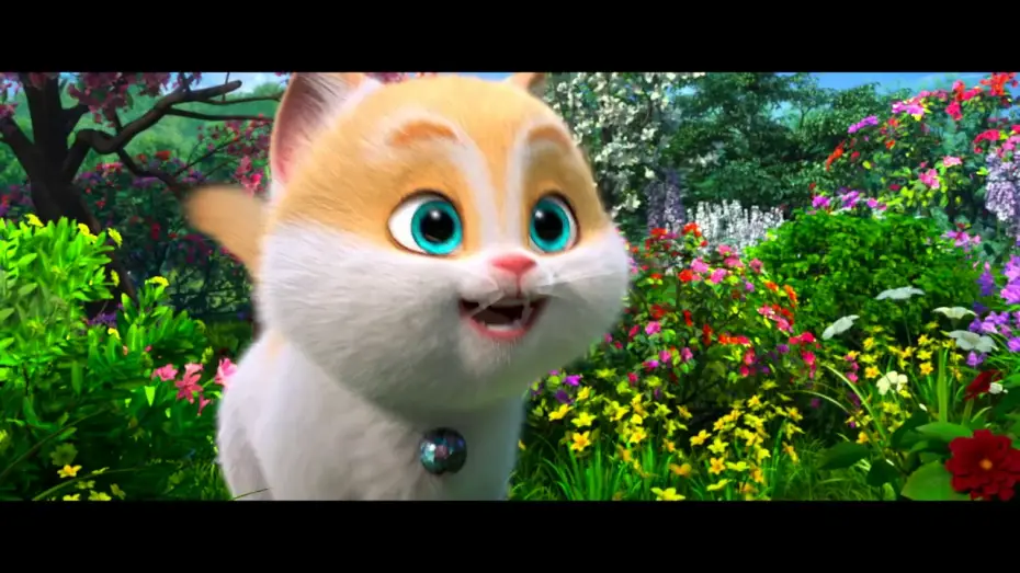 Video for the film Cats — Gatos - Trailer español (HD)