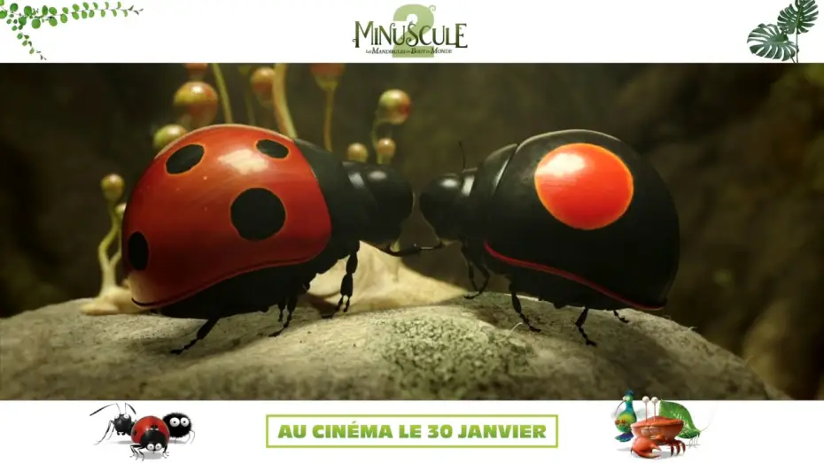 Video for the film Minuscule 2: Mandibles from Far Away — MINUSCULE 2 - Teaser VF