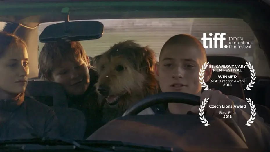 Video for the film Winter Flies — Zwiastun PL