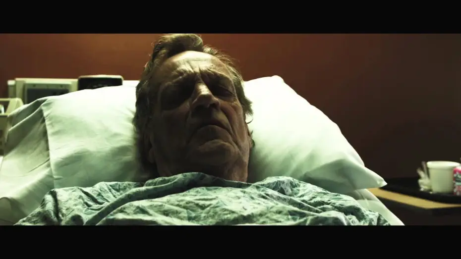Video for the film Bug — BUG teaser trailer HD