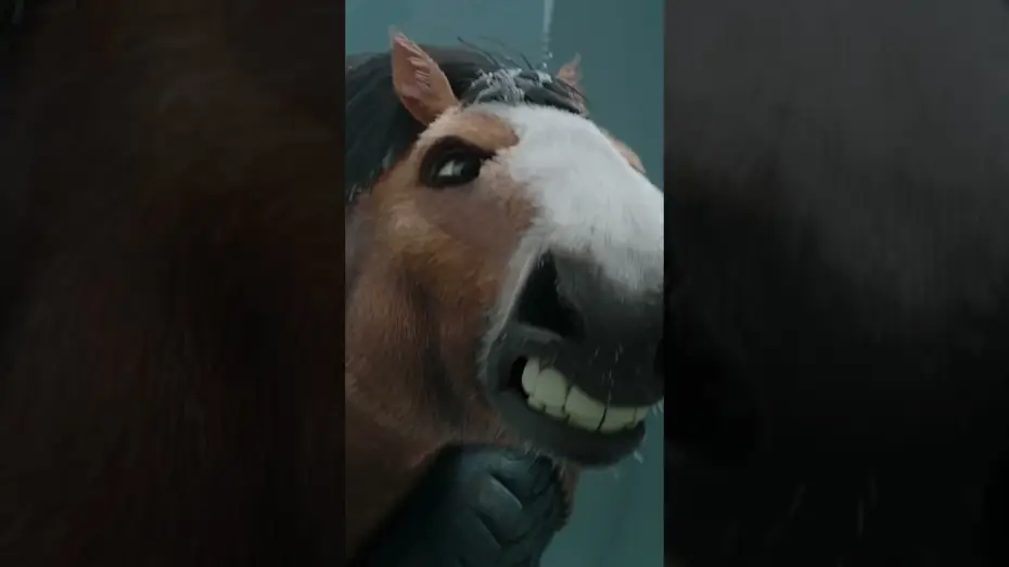 Video for the film Animal Farm — The straw that broke the horse’s back…