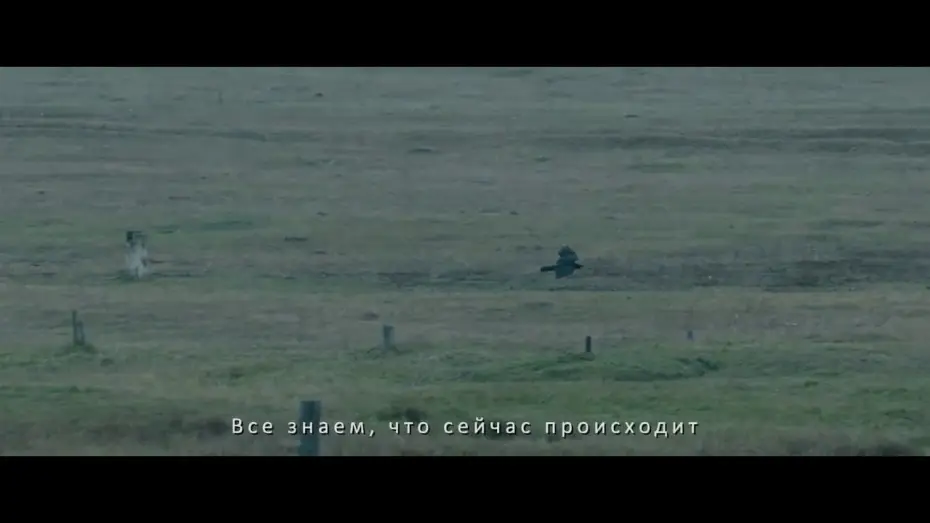 Video for the film Republic Z — Официальный тизер "Республика Z”
