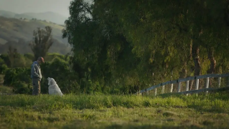 Video for the film The Biggest Little Farm — Mi gran pequeña granja - Trailer español (HD)
