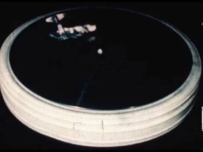 Video for the film Bermuda Triangle — KOŁO BERMUDZKIE